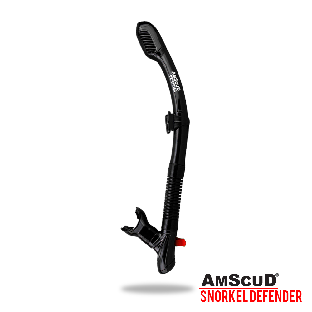 Scuba Snorkel Dive